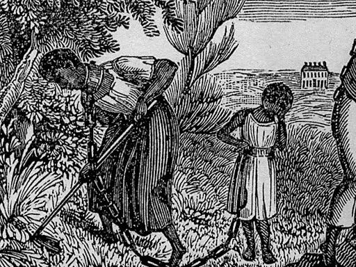 Why Following Our ‘Passion’ Is Directly Tied To Black Liberation