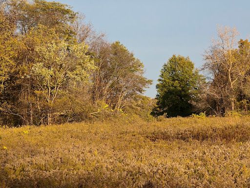 If These Woods Could Talk They’d Call Our Ancestors’ Names